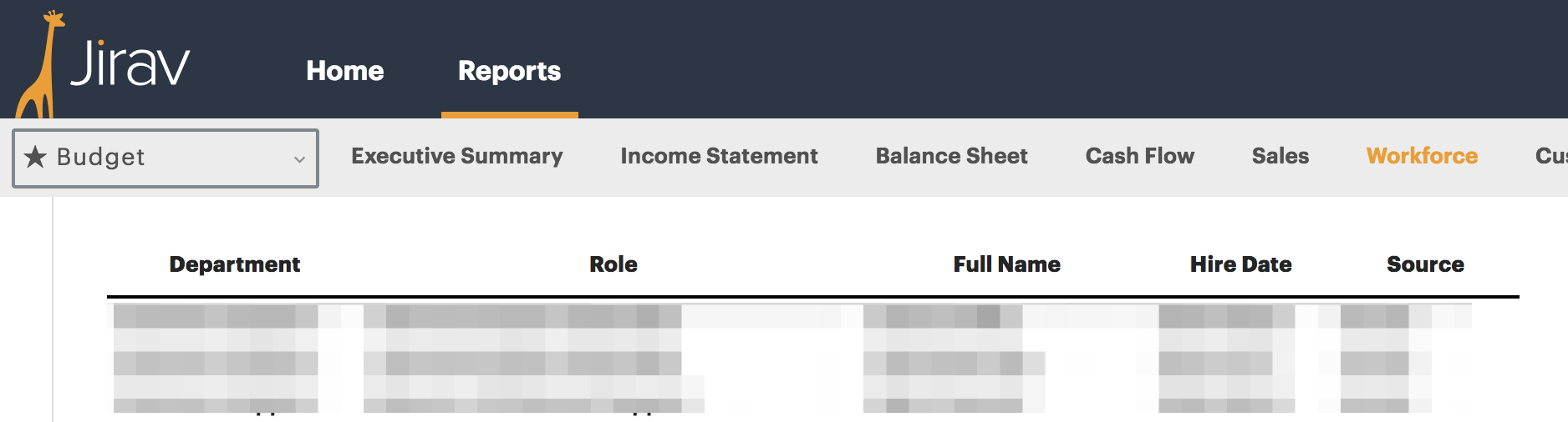 Workforce_-_Reports_-_Jirav_-_Financial_Planning___Analysis